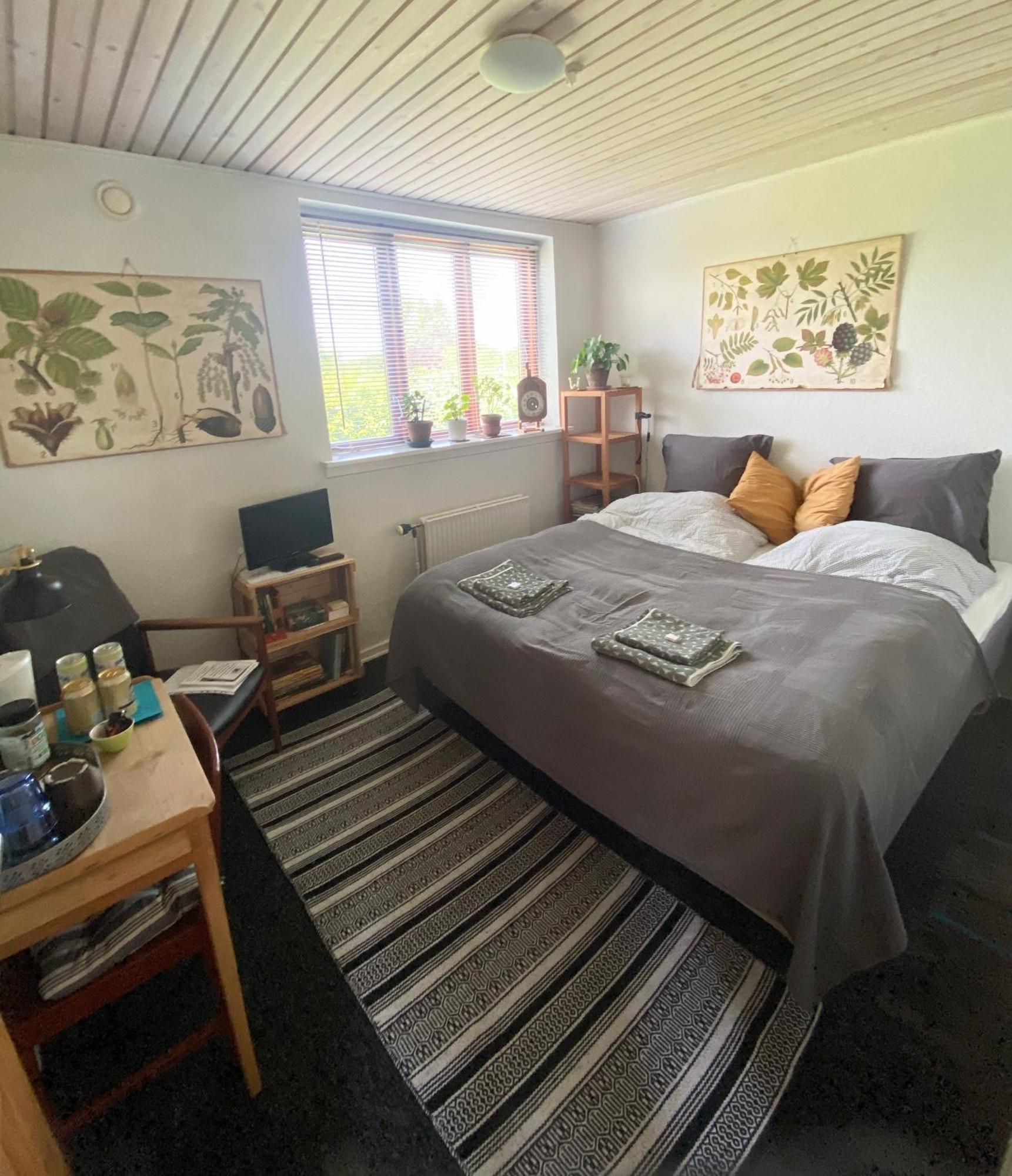Apartament Vaerelse Midtfyn Heden Ringe Zewnętrze zdjęcie